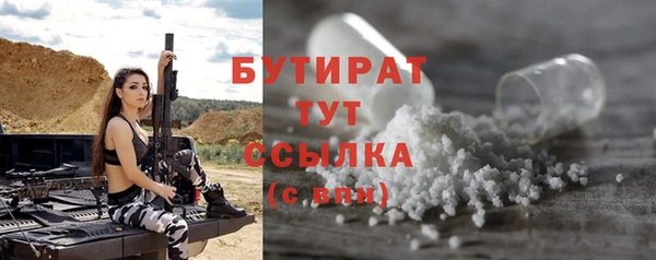 индика Няндома