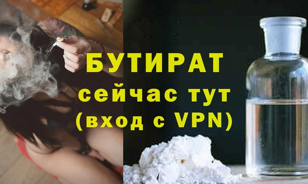 индика Няндома