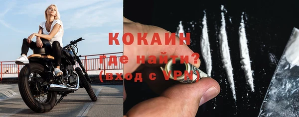 индика Няндома