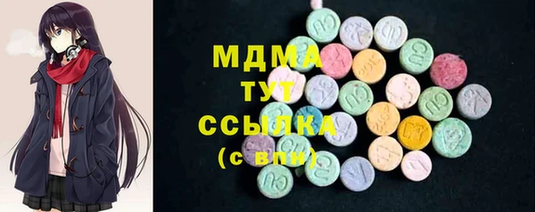 индика Няндома