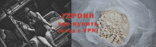 индика Няндома