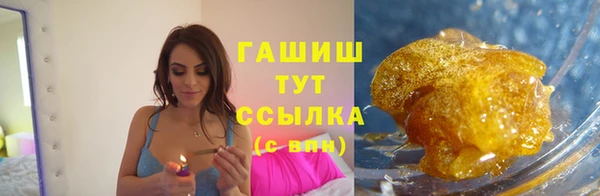 индика Няндома