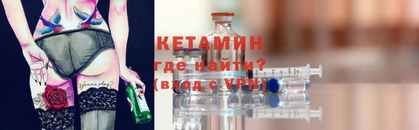 индика Няндома