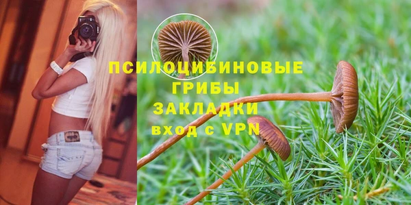 индика Няндома