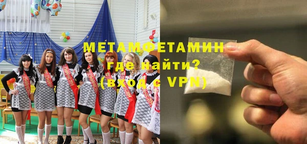 индика Няндома