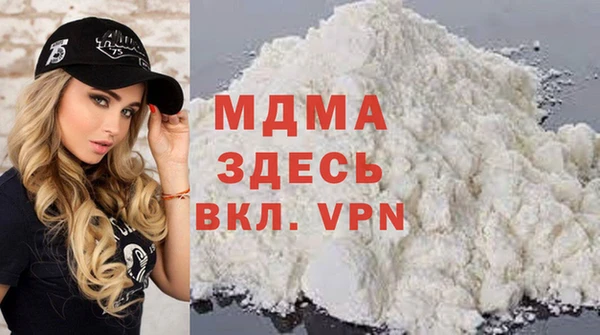 индика Няндома