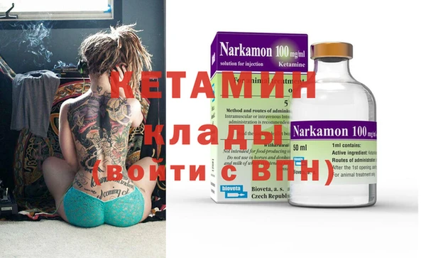 индика Няндома