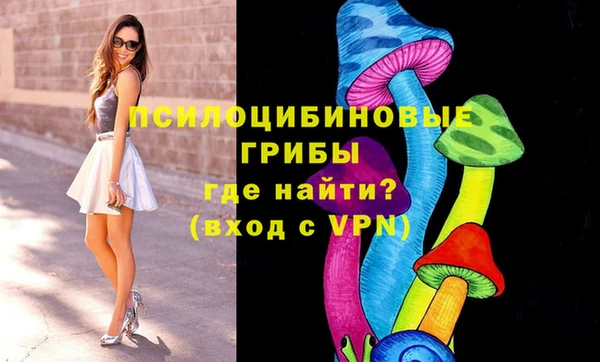 ГАЛЛЮЦИНОГЕННЫЕ ГРИБЫ Нягань