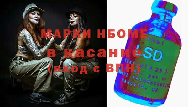 индика Няндома
