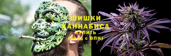 ГАЛЛЮЦИНОГЕННЫЕ ГРИБЫ Нягань