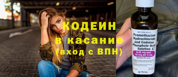 индика Няндома
