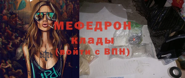 индика Няндома