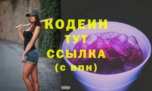 индика Няндома