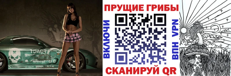 купить сайты Мытищи Галлюциногенные грибы Psilocybe